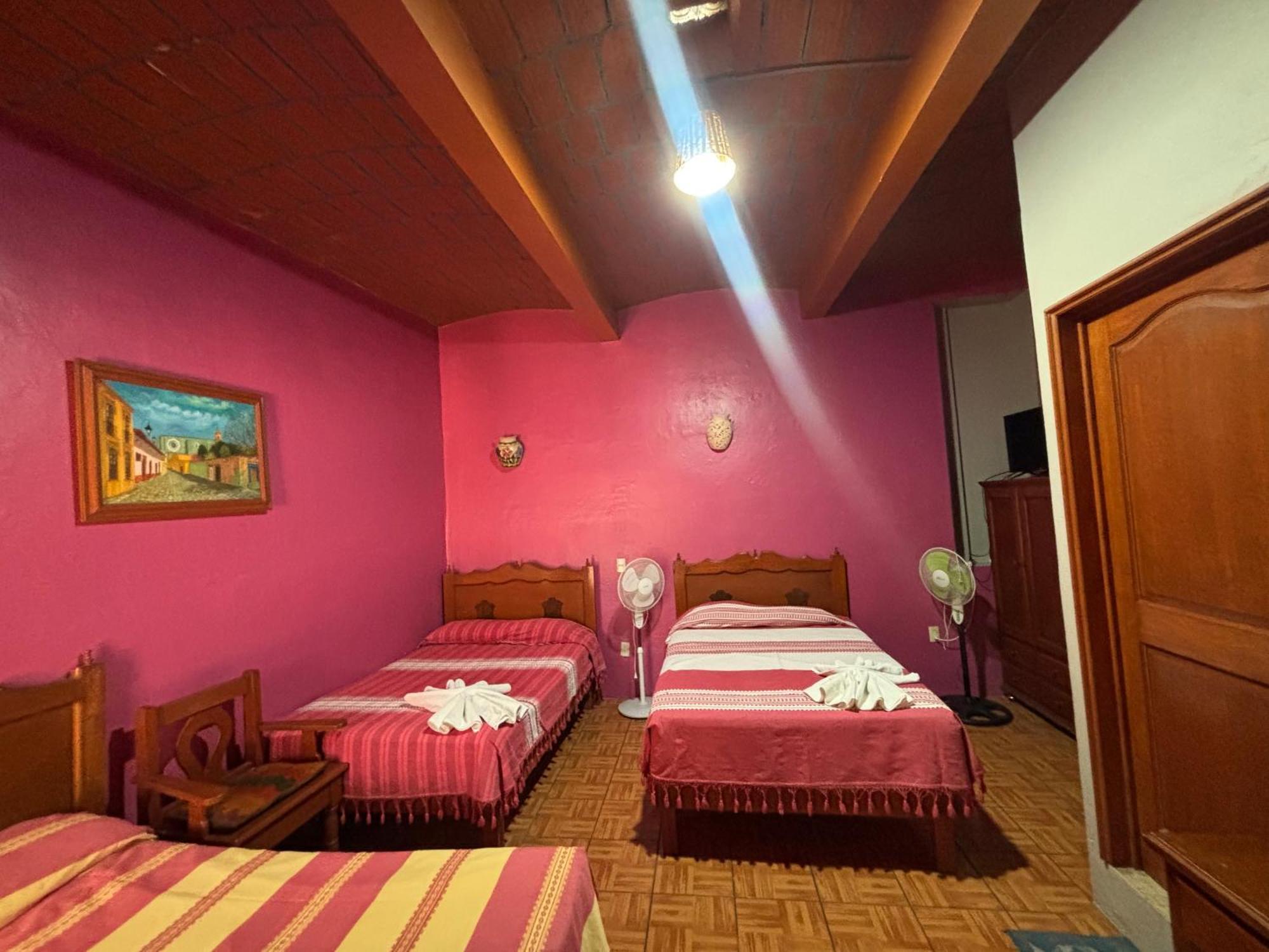 Hotel Posada "Mi Rosita" Oaxaca Extérieur photo