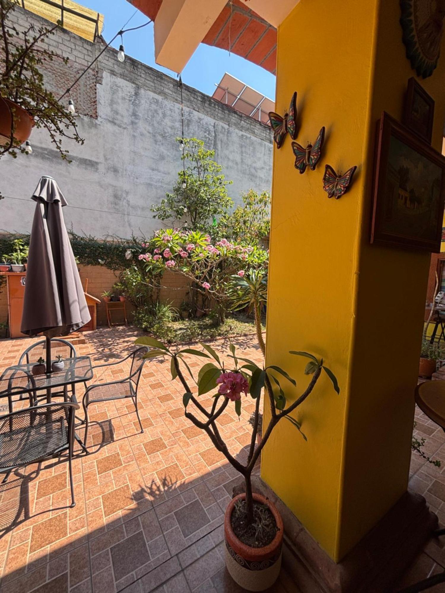 Hotel Posada "Mi Rosita" Oaxaca Extérieur photo